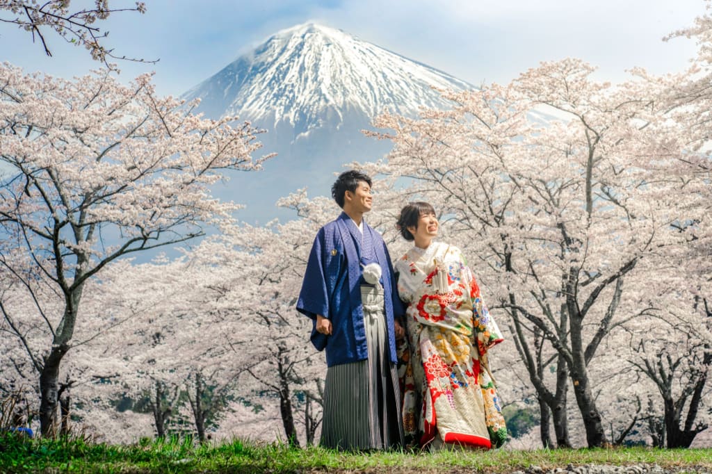 和装＋洋装　春の桜と富士山ロケーション