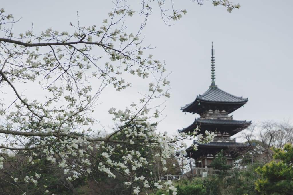 	風情のある三溪園