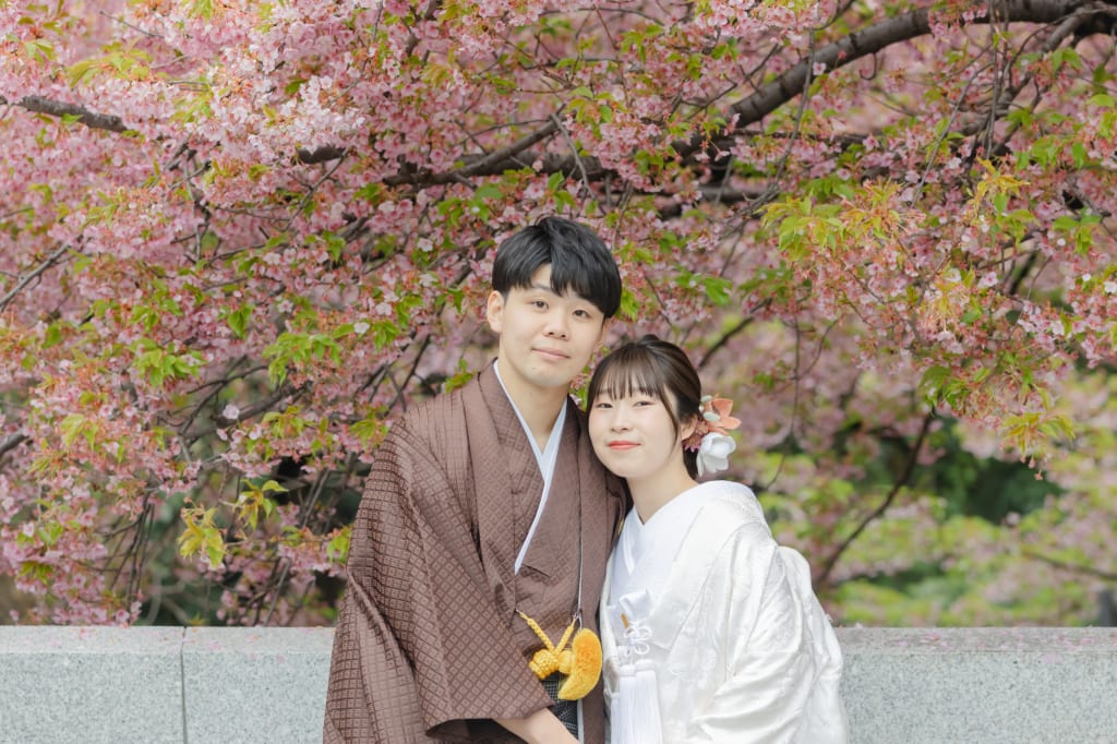 金戒光明寺と桜モリモリの一条戻橋🌸