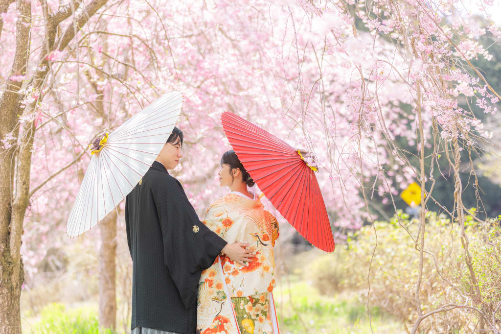 春のパステルカラー♪桜だけじゃない、お花見しながら撮影できる富士ロケーション