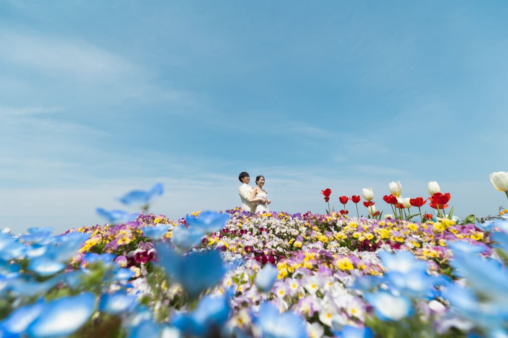 山下公園ロケ：花々に包まれる恋のメロディー