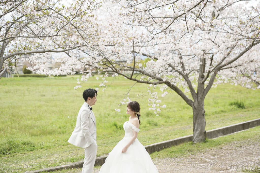 桜と菜の花の藤原宮跡