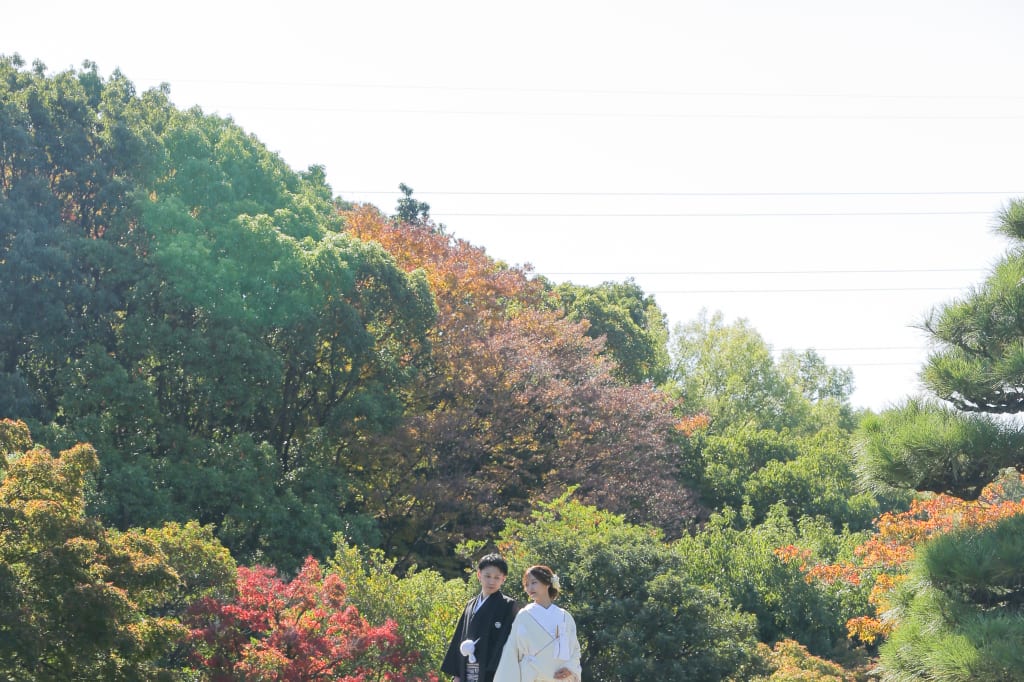 大仙公園ロケーション！