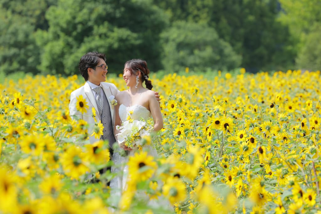 思い出のひまわりに囲まれて