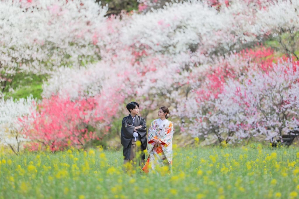 花桃の里