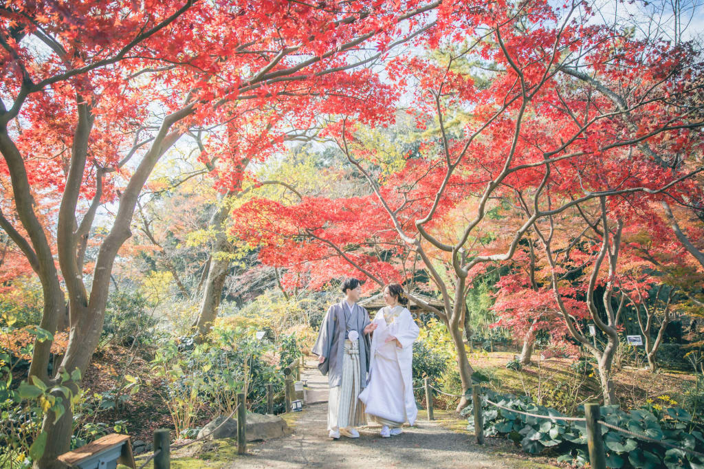 photo by Kaito saito