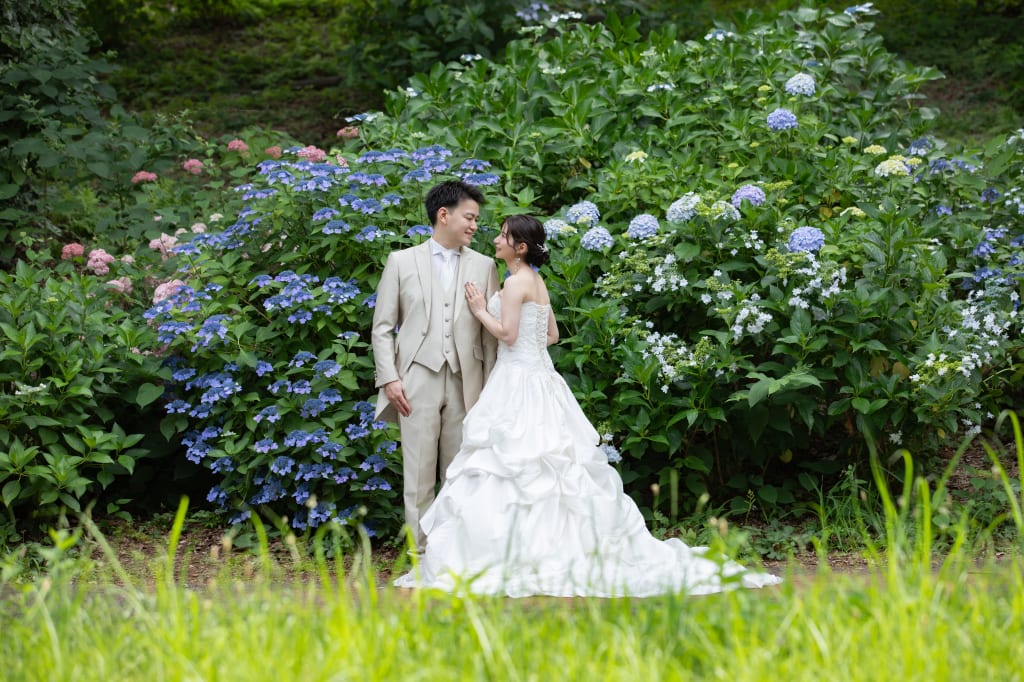 昭和記念公園の紫陽花撮影