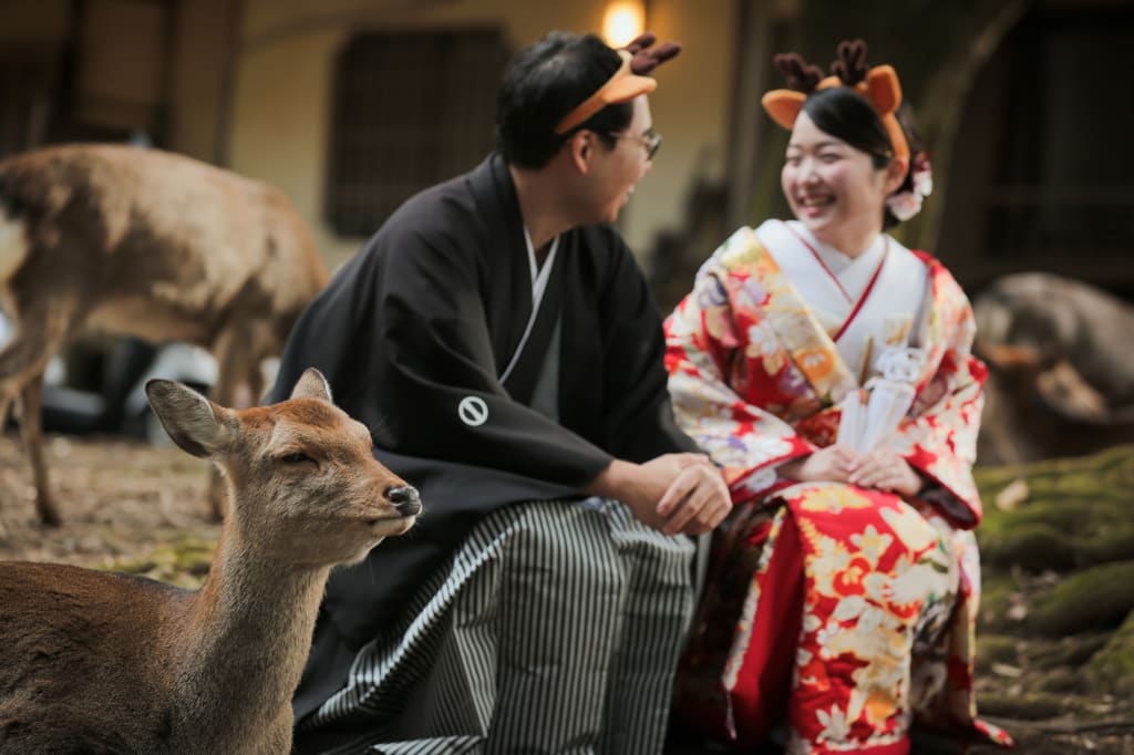 奈良公園ロケーション