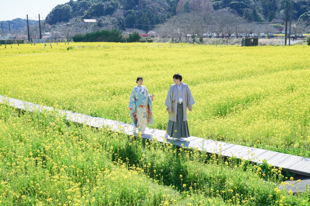 伊豆 河津桜【選べる2箇所】 和装ロケーションプラン | フォトウェディング・前撮り・結婚写真