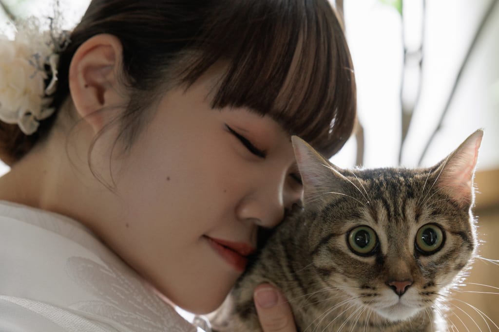 猫ちゃんと。和装屋内庭園スタジオ