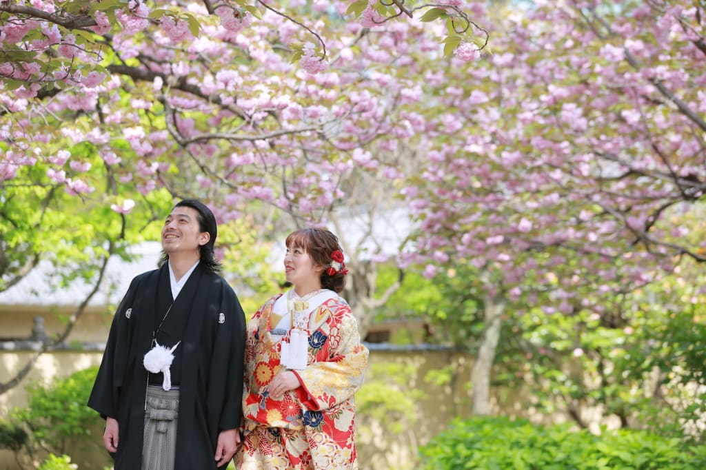 桜ロケのご案内