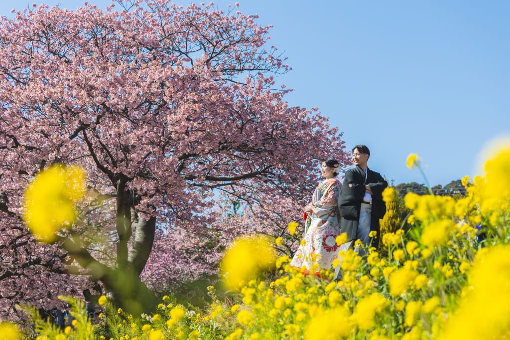春を先取り！河津桜プラン！