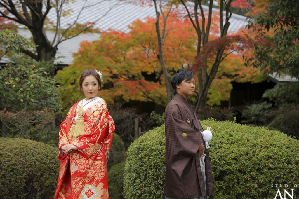 11月 大濠日本庭園紅葉情報