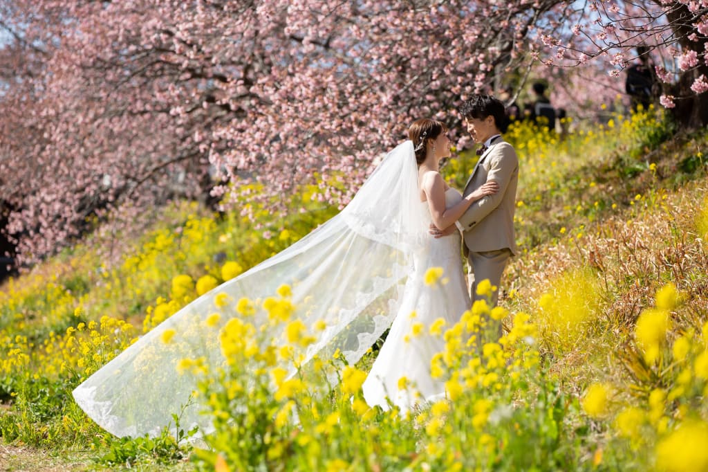 河津桜ロケーション🌸