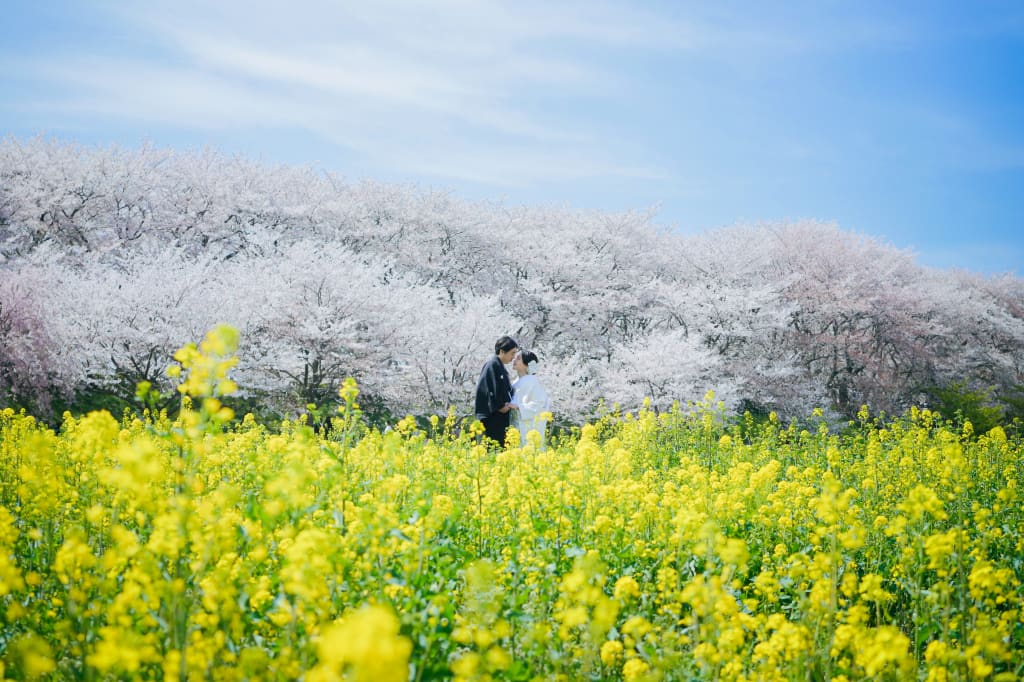 権現堂 | デコルテフォトグラフィー | 前撮り・フォトウェディング