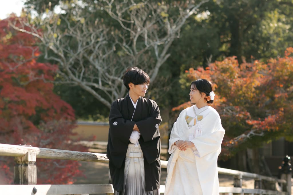 鹿も紅葉も！盛りだくさん撮影