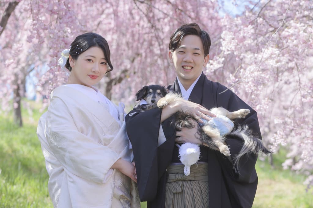 愛犬と一緒にお花見！