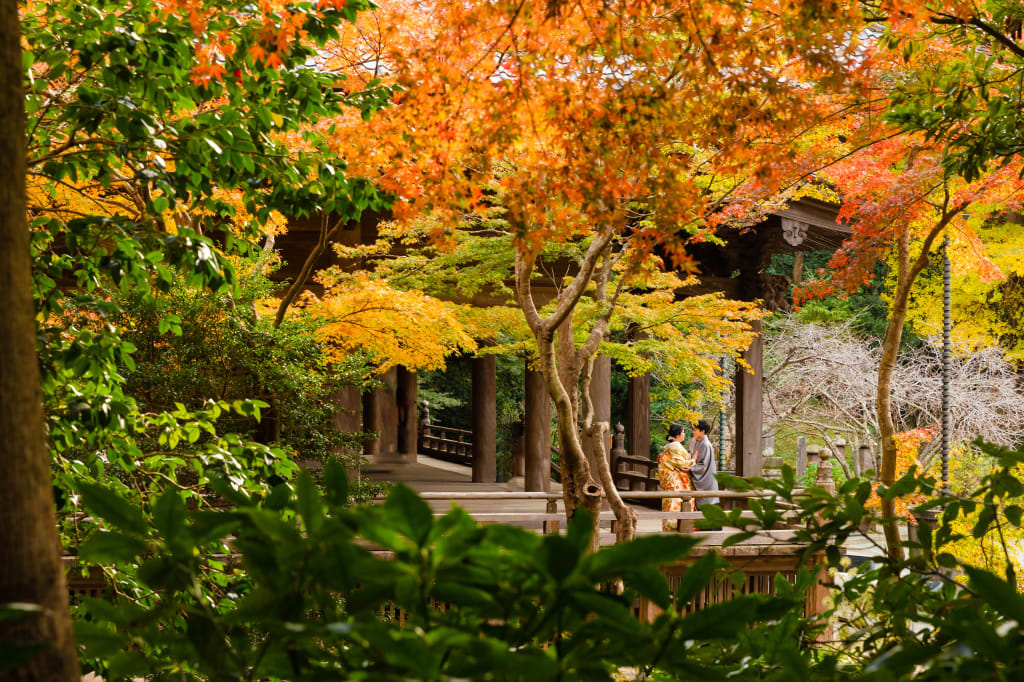 グラデーションが美しい鎌倉・妙本寺の紅葉photo by 谷澤明美