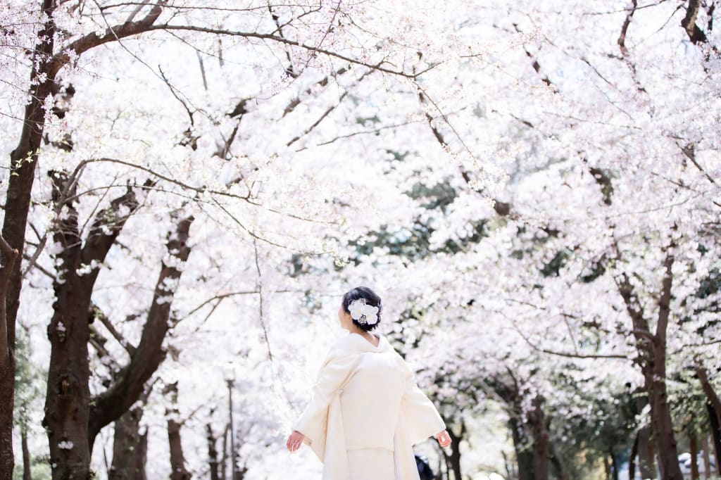 和装ロケーション