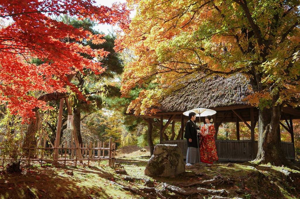 タリアセン＆小諸懐古園　紅葉シーズン