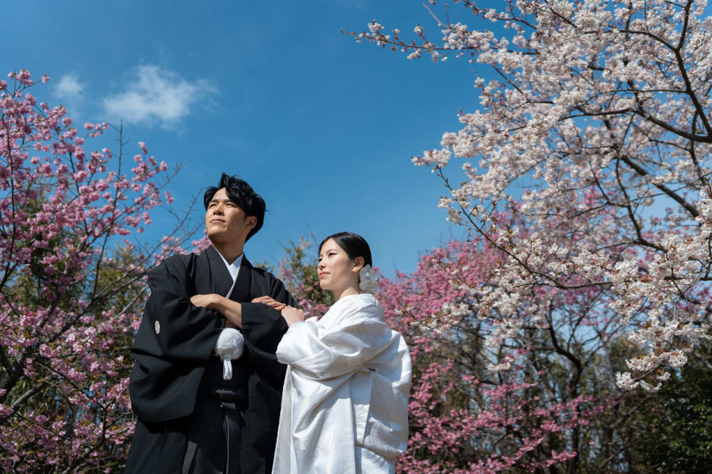 河津桜ロケーション【和装】