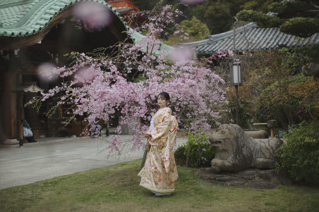 須磨寺 | デコルテフォトグラフィー | 前撮り・フォトウェディング