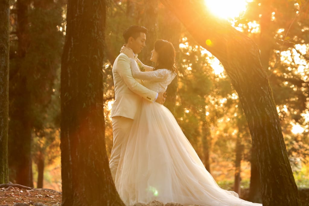 東公園ロケーションプラン | フォトウェディング・前撮り・結婚写真