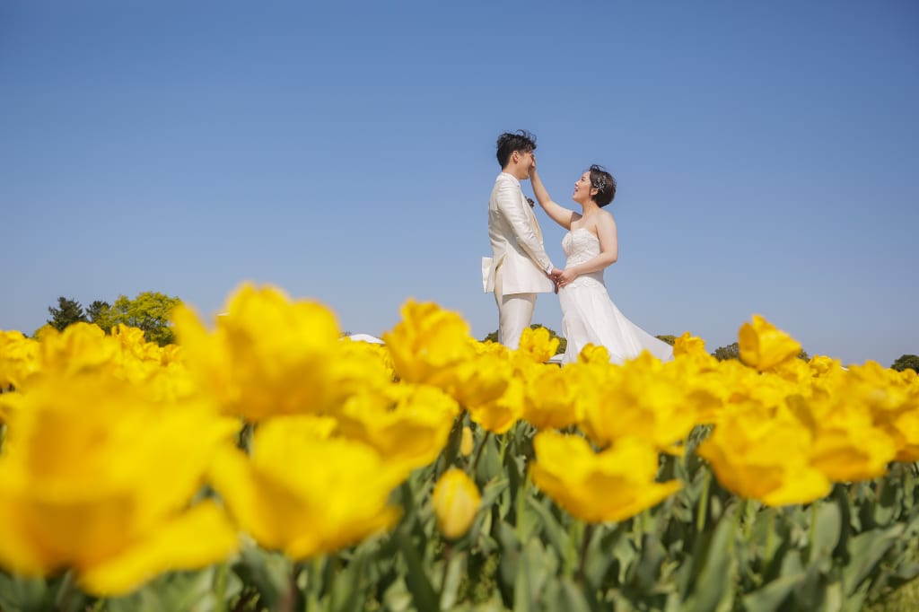 海の中道エリアロケーションプラン | フォトウェディング・前撮り・結婚写真