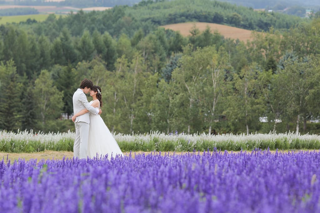 富良野 or 美瑛の花畑プラン | フォトウェディング・前撮り・結婚写真