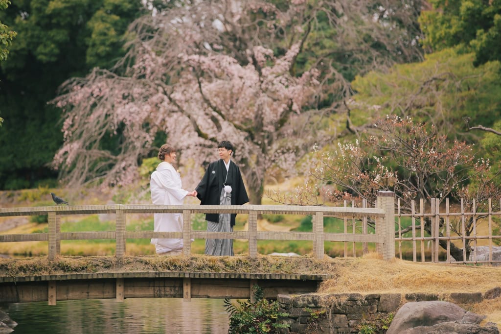 桜ロケーション＠白鳥！