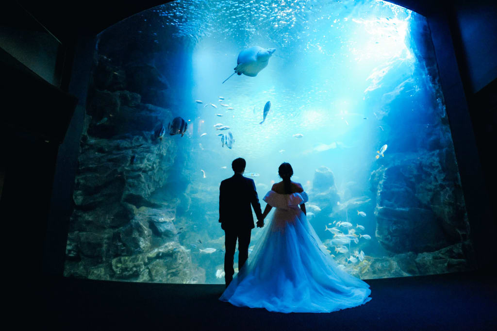 京都水族館プラン | フォトウェディング・前撮り・結婚写真