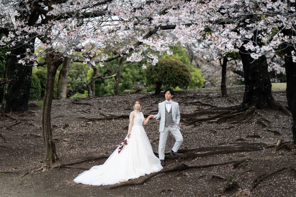 桜も撮れます！若松公園ロケ！