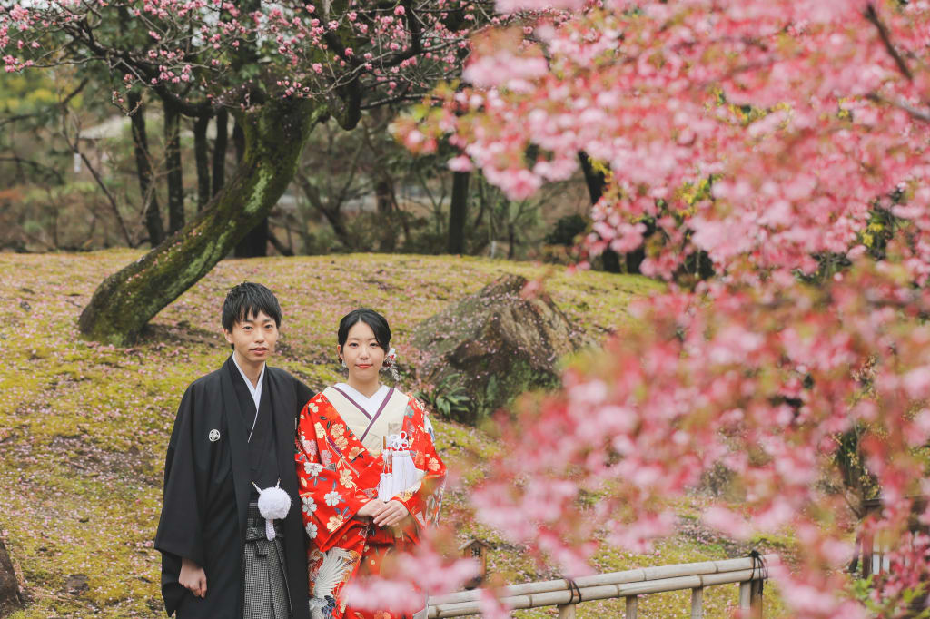 桜ロケーションの季節