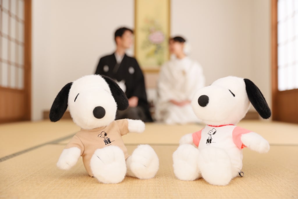 屋内庭園スタジオのご紹介