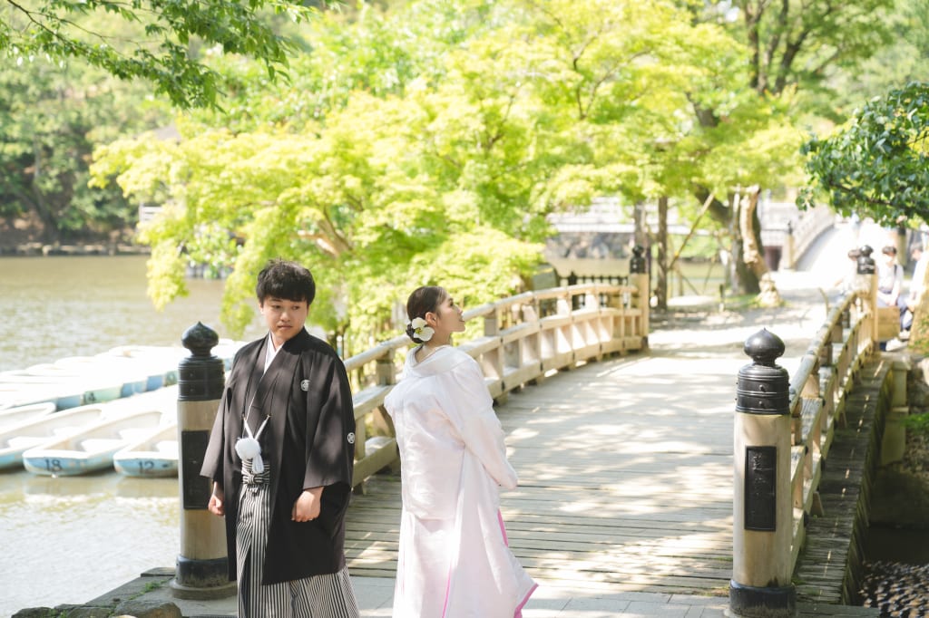 新緑の奈良公園