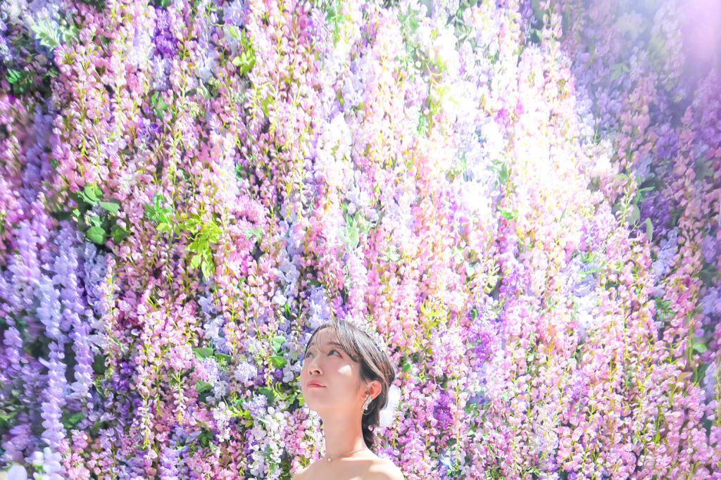 ゆっくり楽しむ洋ハウス撮影