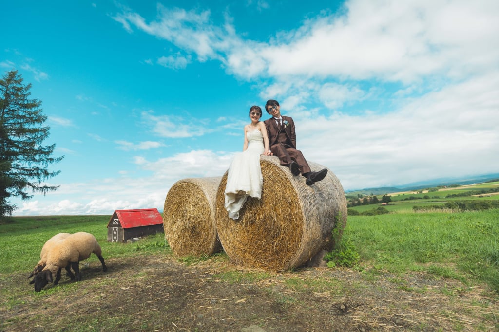 北海道の花畑と広大な景色