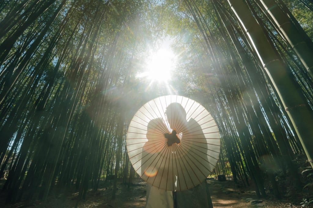 竹林の撮影も！大覚寺ロケーション