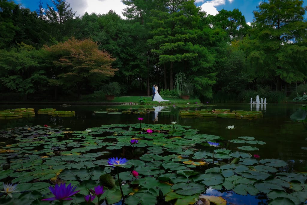 オシャレカワイイ公園