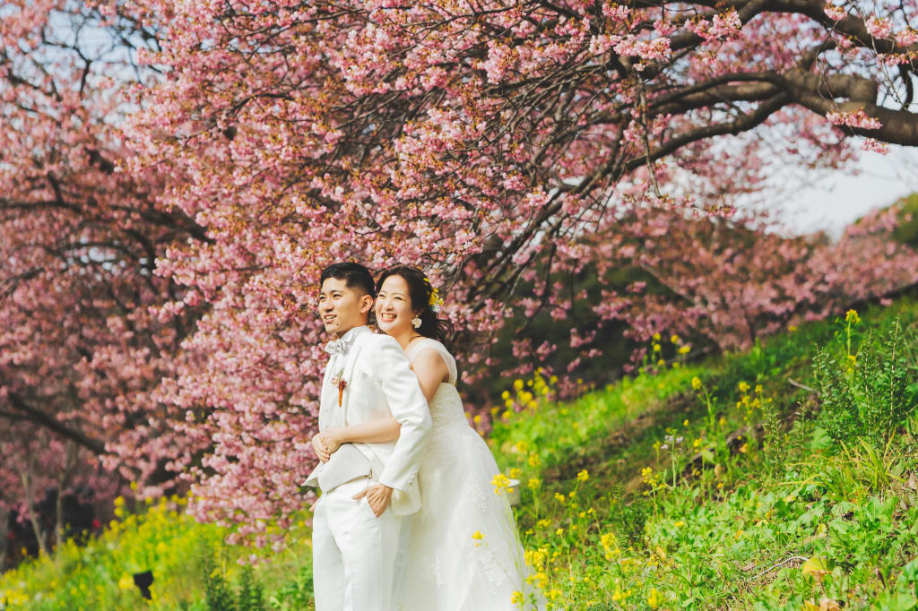 【河津桜】まもなく見頃を迎えます🌸