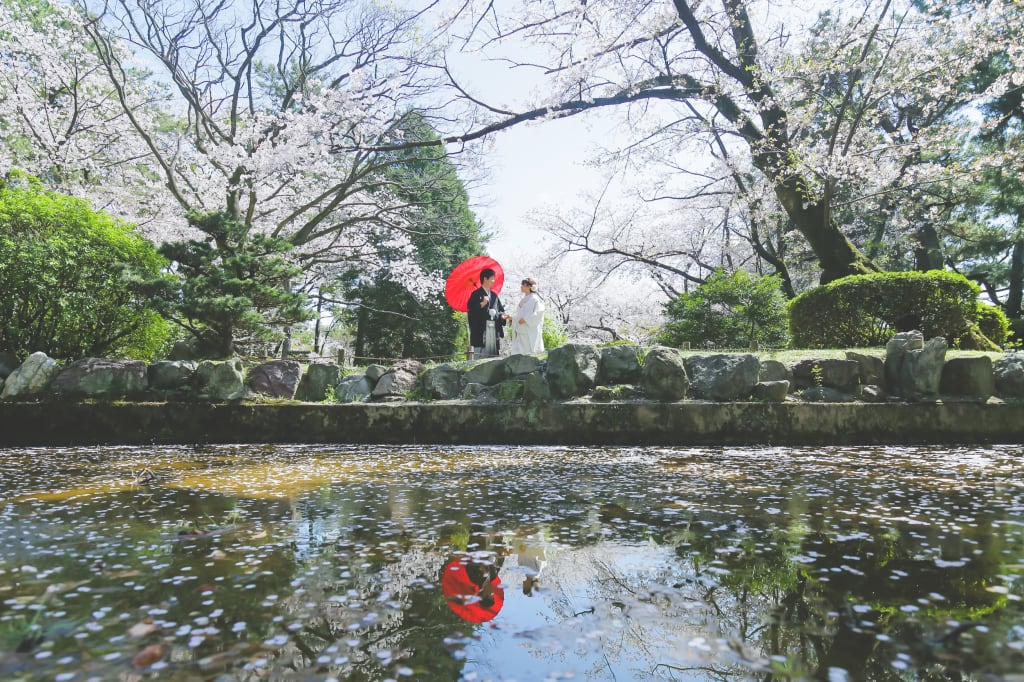 桜ロケーション