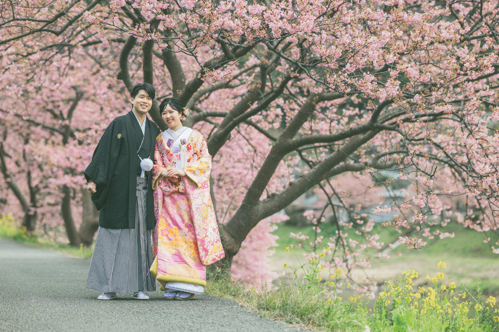 河津桜の季節