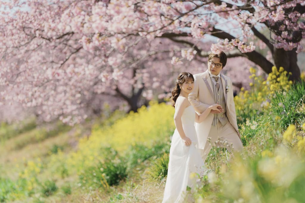 2月に咲く河津桜のご紹介！