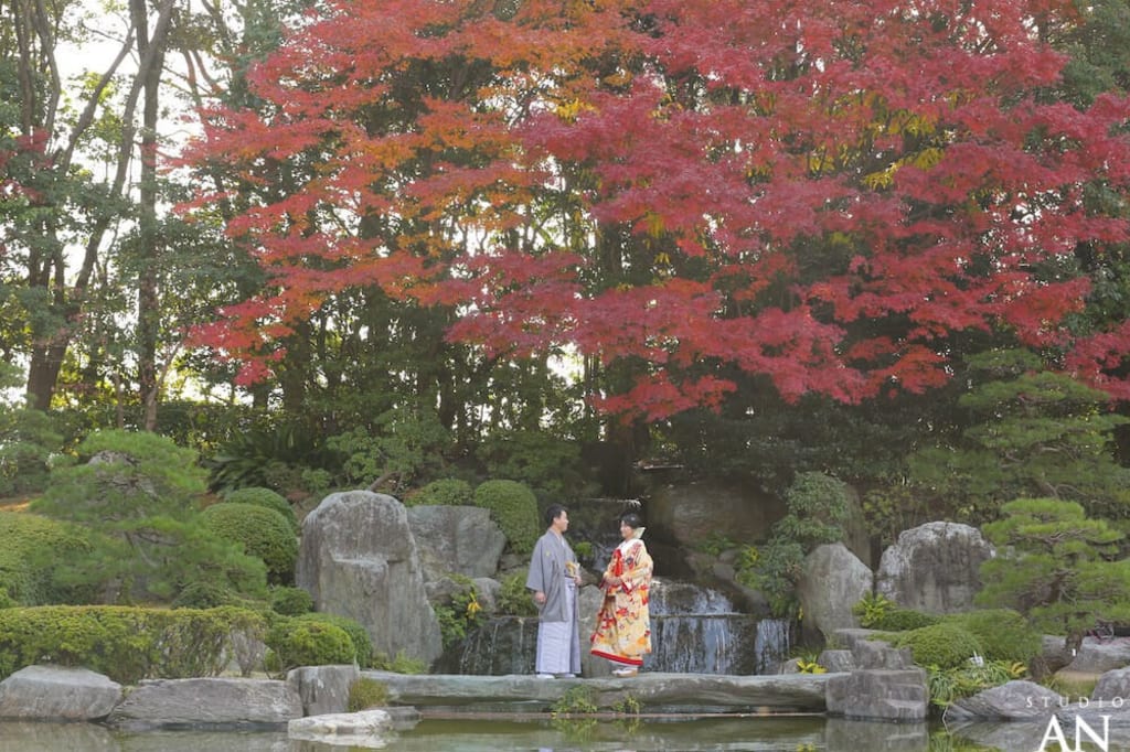 12月 大濠日本庭園紅葉情報