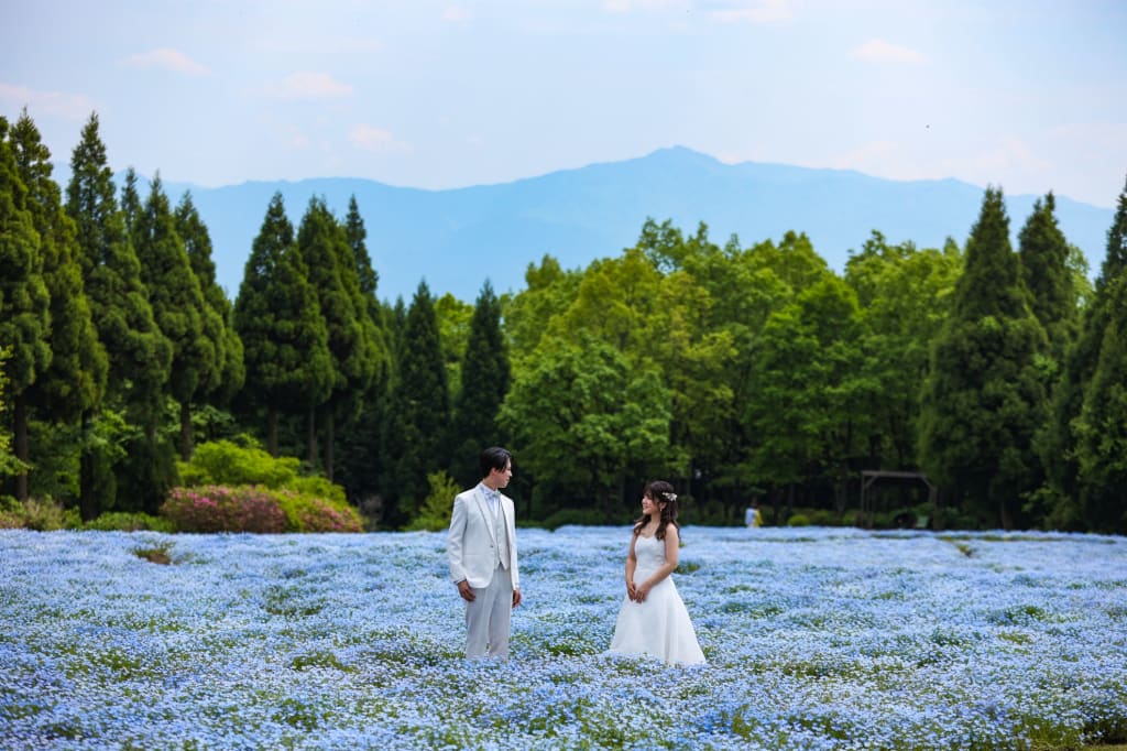 くじゅう花公園 | デコルテフォトグラフィー | 前撮り・フォトウェディング