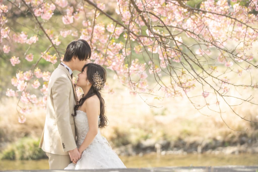河津桜（南伊豆） | デコルテフォトグラフィー | 前撮り・フォトウェディング