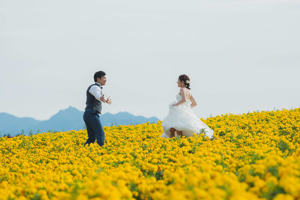 富良野 or 美瑛の花畑＋美瑛の丘プラン | フォトウェディング・前撮り・結婚写真