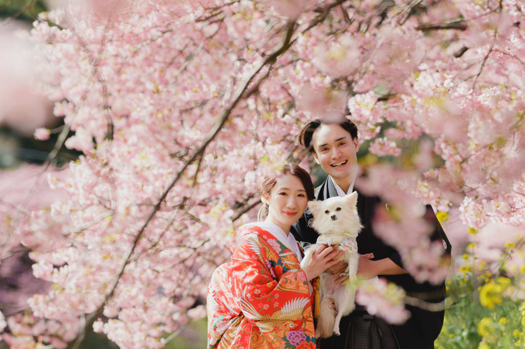 ワンちゃんと一緒に！和装河津ロケーション