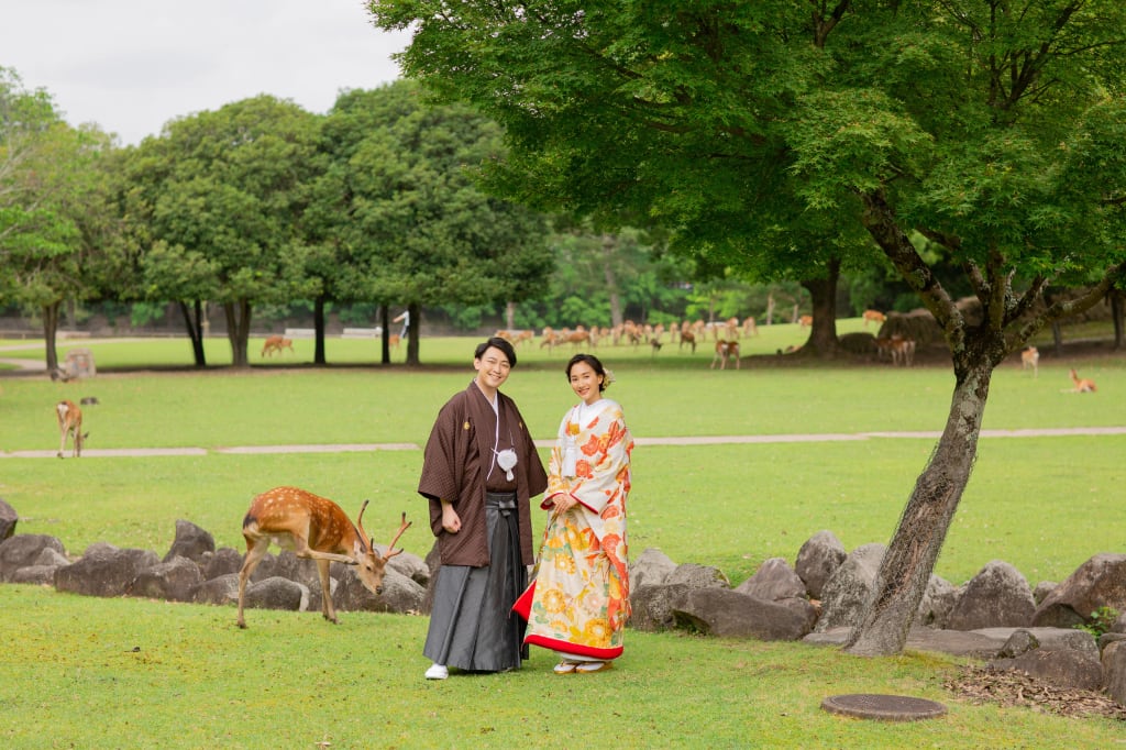 奈良公園ロケーションプラン | フォトウェディング・前撮り・結婚写真