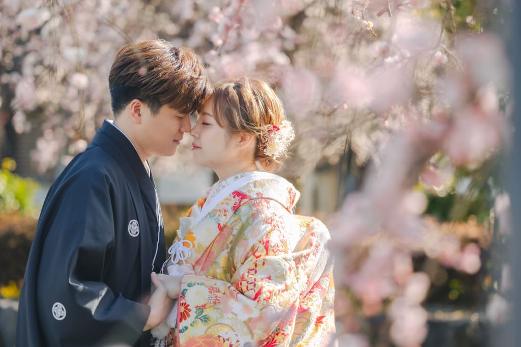 富士周遊プラン